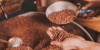 koffiebonen testen